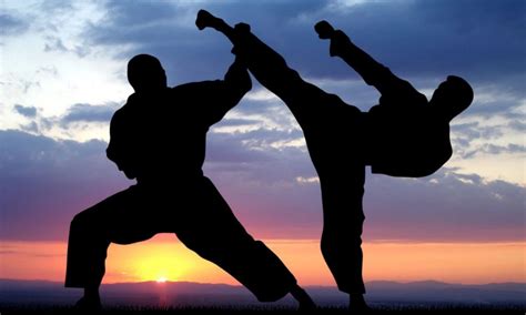 What's the Best Martial Art: A Multifaceted View